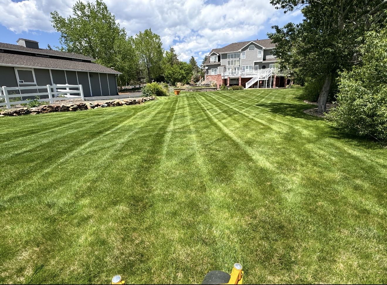 Freshly striped lawn