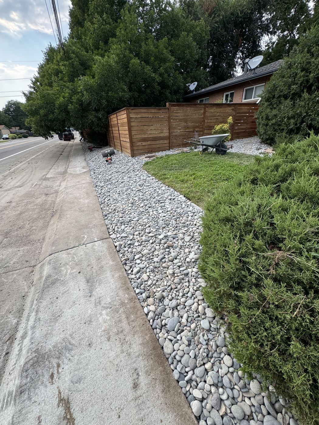 Neatly trimmed shrubs along a fence line